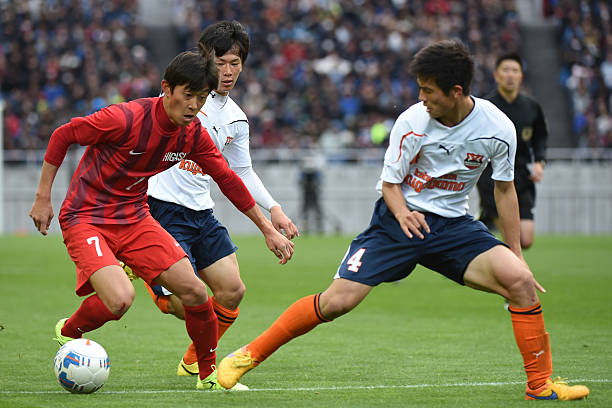 引发了不少 引发了不少